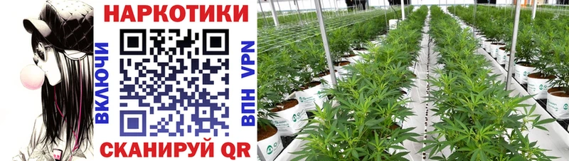 Где продают наркотики Сланцы Амфетамин МЕФ Марихуана Alpha PVP