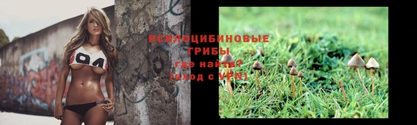 крисы Белокуриха