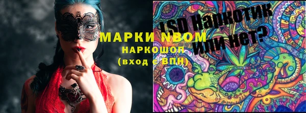 крисы Белокуриха